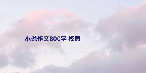 小说作文800字 校园
